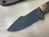 Harpoon Drop Point Hunter in CPM154 Black Ash Burl Handle